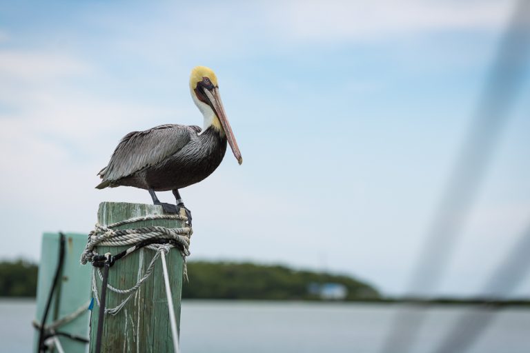 Voyage – Miami – Key West