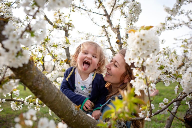 Séance photo en famille dans les cerisiers en fleurs