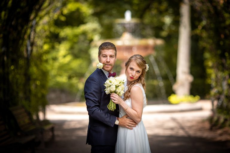 Mariage à la cour de Honau