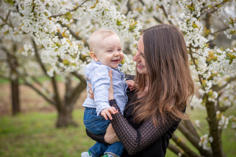 Séance photo en famille dans les cerisiers en fleurs à Obernai