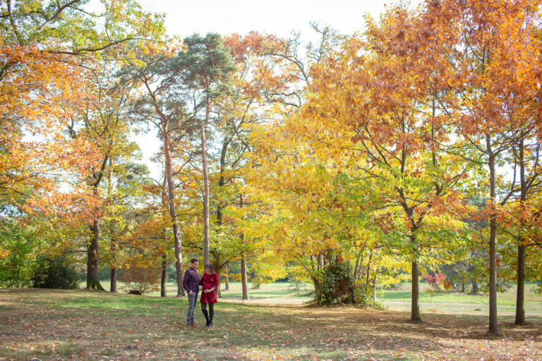 Séance photo de grossesse en automne