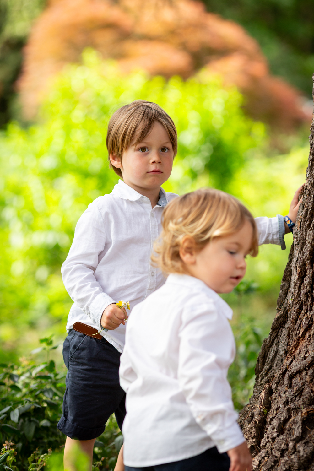Enfants explorant le parc pendant une séance photo de famille